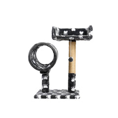 Collection image for: Cats