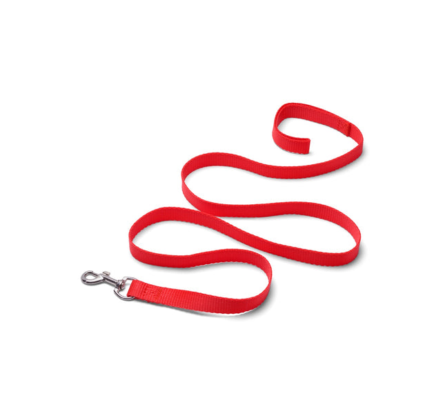 Dog collar red