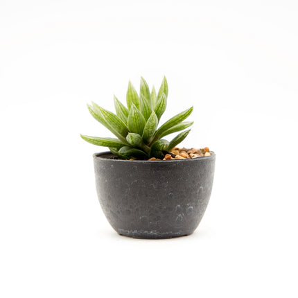 Pot with artificial plant