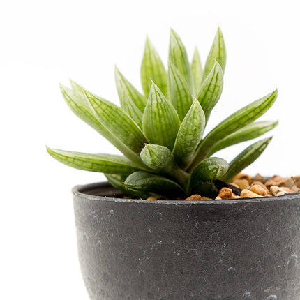 Pot with artificial plant