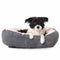 Dog Beds